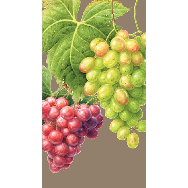 Vineyard Bronze Paper Guest Napkin