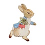 Peter Rabbit Paper Plates
