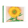 Georgia O'Keeffe: A Sunflower from Maggie Boxed Cards