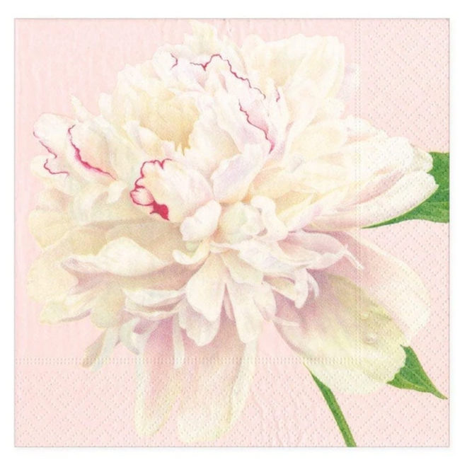 Duchess Peonies Blush Paper Cocktail Napkins