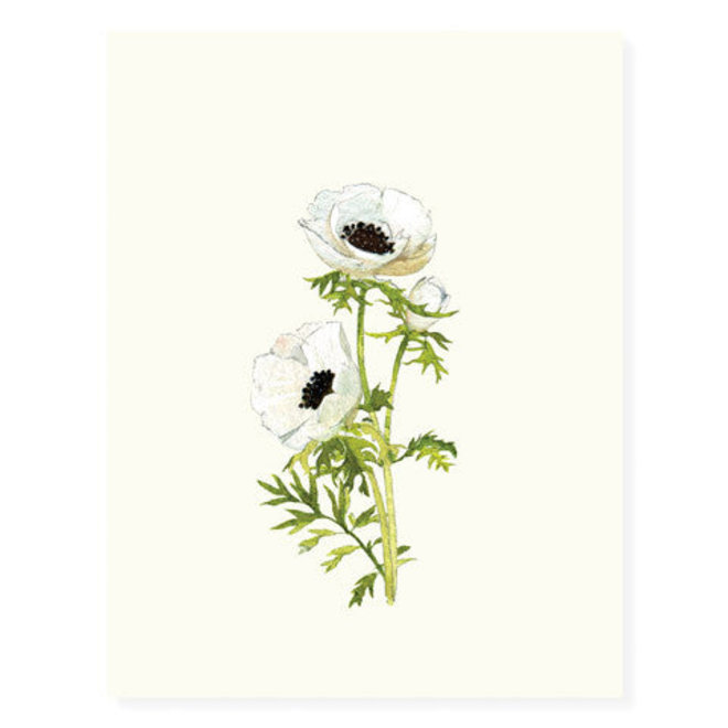 Anemone Blossoms Greeting Card