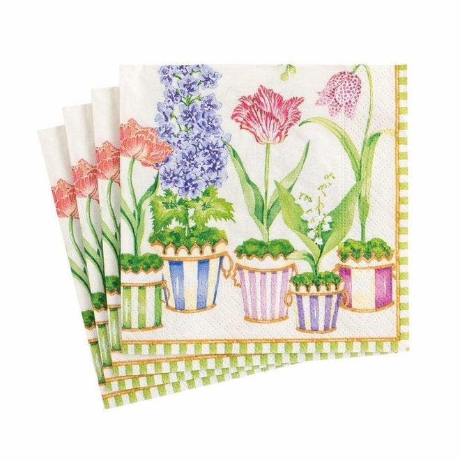 Window Garden Paper Cocktail Napkins