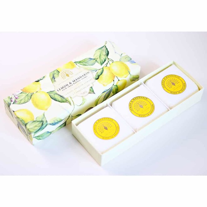 Lemon & Mandarin Hand Soap Set of 3