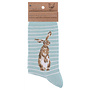 'Hare & the Bee' Hare Striped Pale Blue Women's Socks
