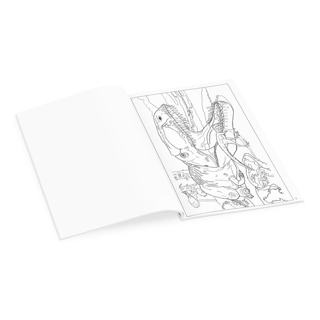 Dinosaurs Coloring Book