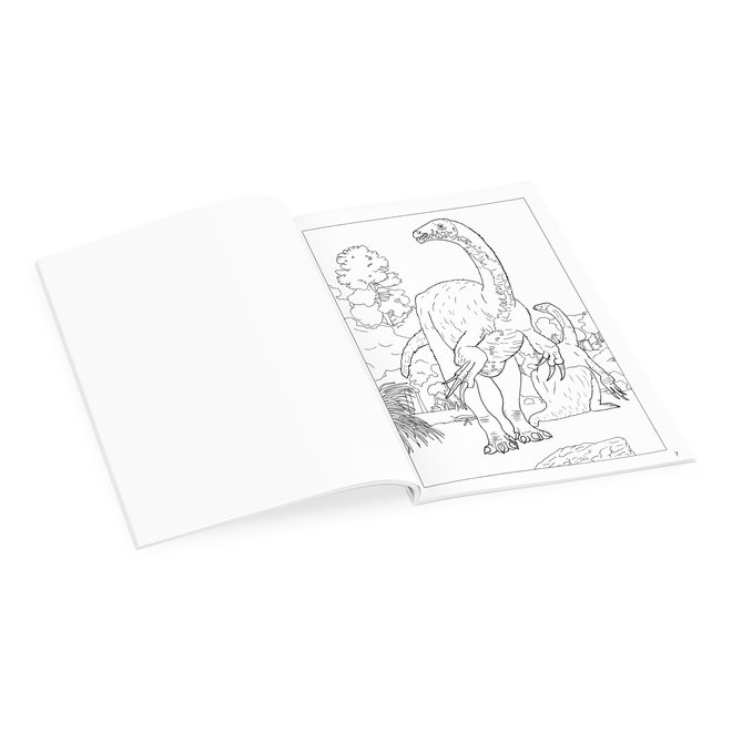 Dinosaurs Coloring Book