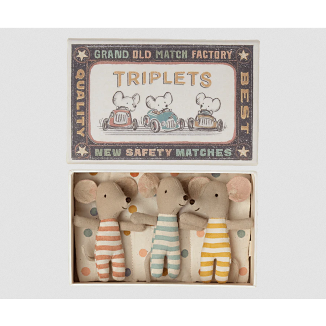 Baby Mice Triplets in Matchbox