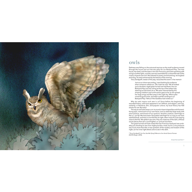 Owls: The Paintings of Jeannine Chappell