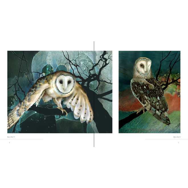 Owls: The Paintings of Jeannine Chappell