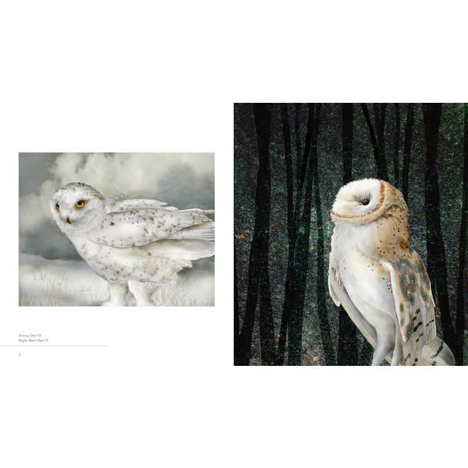 Owls: The Paintings of Jeannine Chappell