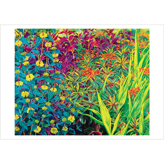 Rosalind Wise: Garden Border Small Boxed Cards