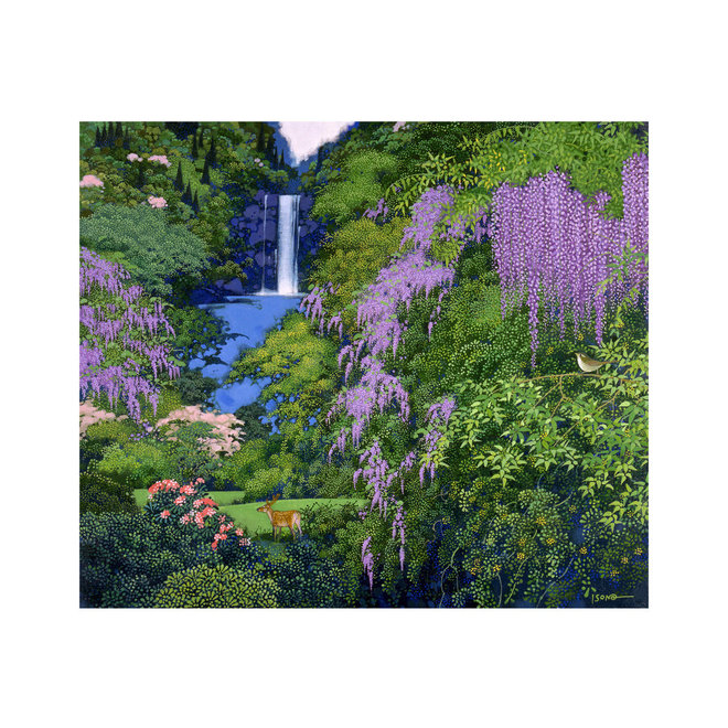Hiroo Isono: Enchanted Forests Boxed Cards