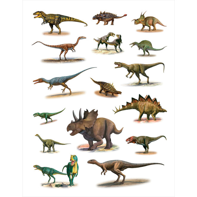 Dinosaurs Sticker Book