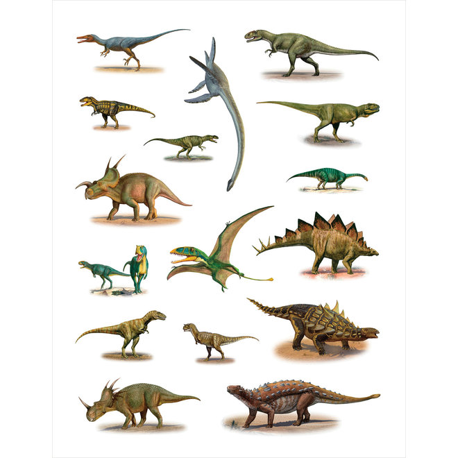 Dinosaurs Sticker Book