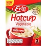 Erin Hot Cup Cream of Vegetable Soup with Croutons