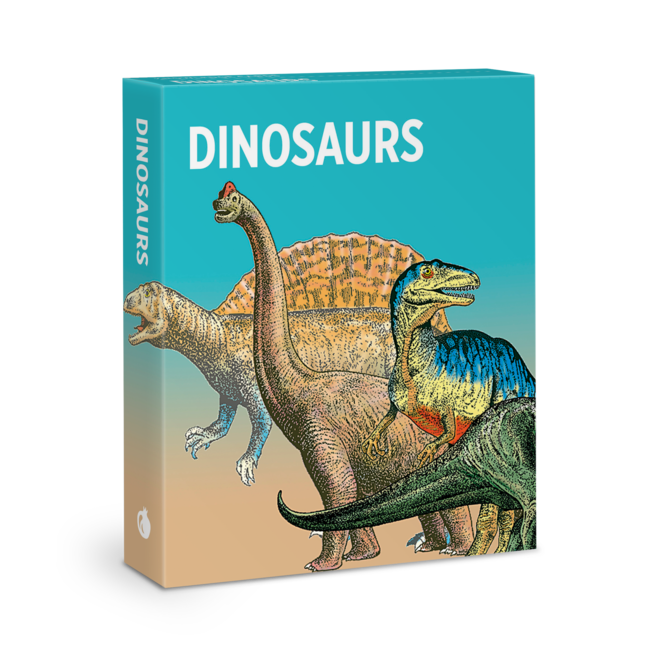 Knowledge Cards: Dinosaurs
