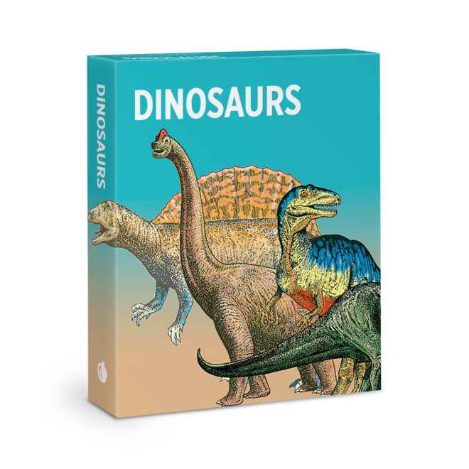 Dinosaurs Knowledge Cards