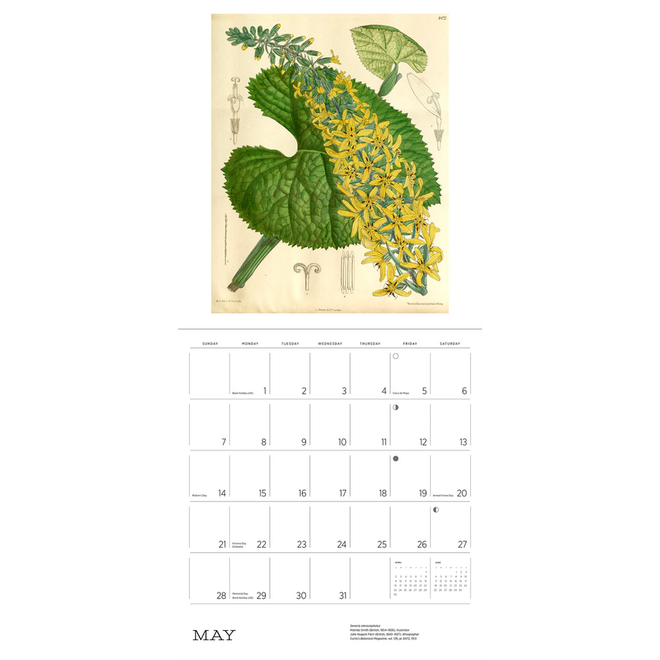 The Illustrated Garden 2023 Wall Calendar