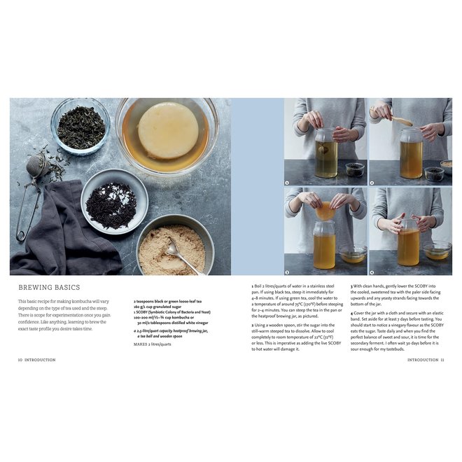 Living Tea: Healthy Recipes for Naturally Probiotic Kombucha Recipe Book