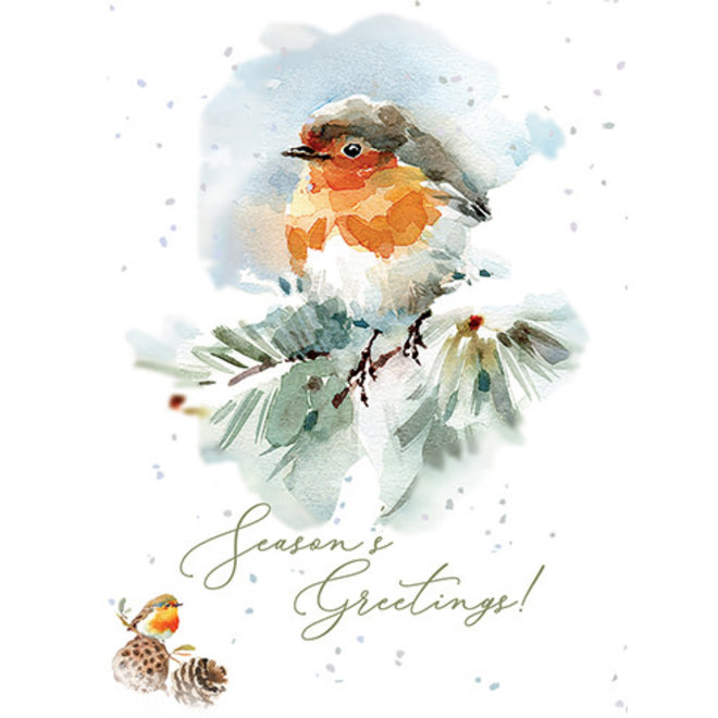 "Woods" Robin Boxed Holiday Cards