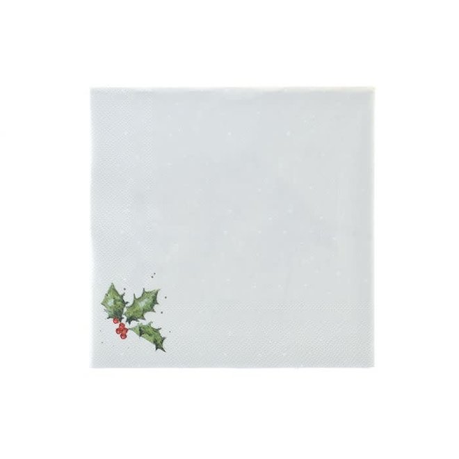 Snuggled Together Robins Paper Cocktail Napkins