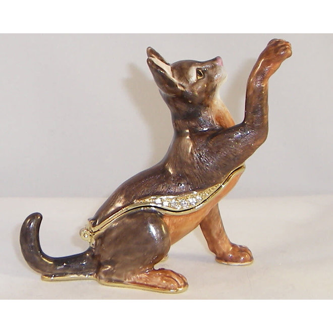 Kingspoint Designs Zulu Abyssinian Cat