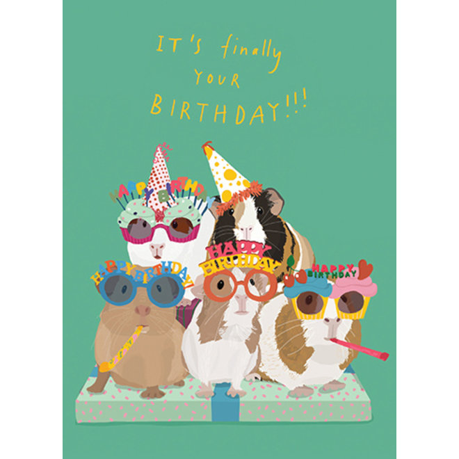 Guinea Pig Party Birthday Card