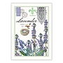 Lavender Rosemary Kitchen Towel