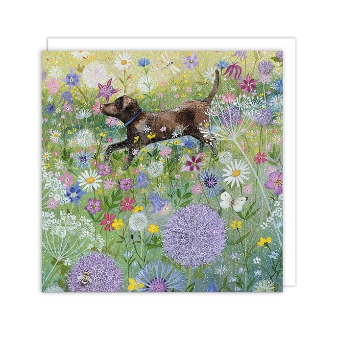 Lucy Grossmith In The Garden Square Notecards Set