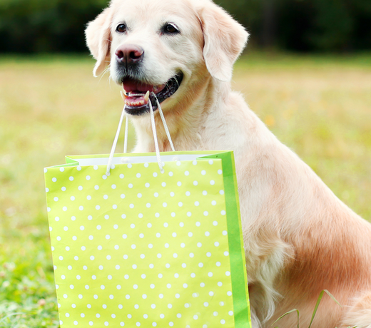 Gifts for Dog Lovers