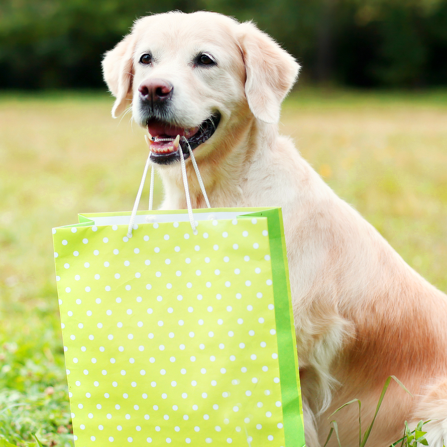 Gifts for Dog Lovers