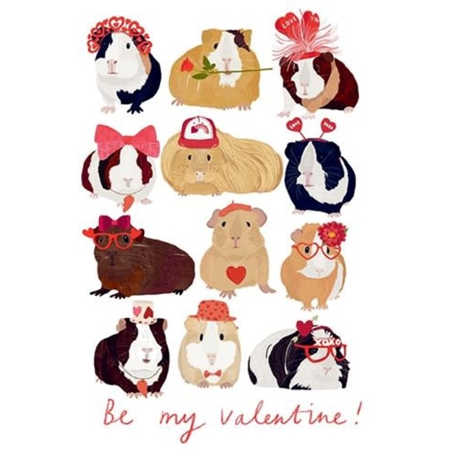 Valentine Guinea Pigs Valentine's Day Card
