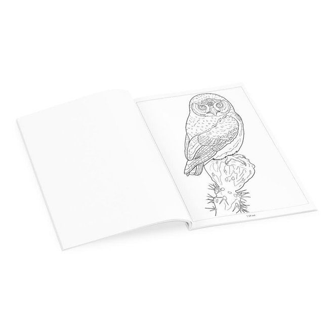 Owls Coloring Book