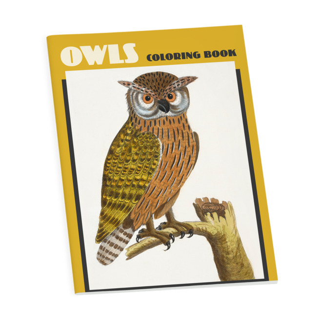 Owls Coloring Book