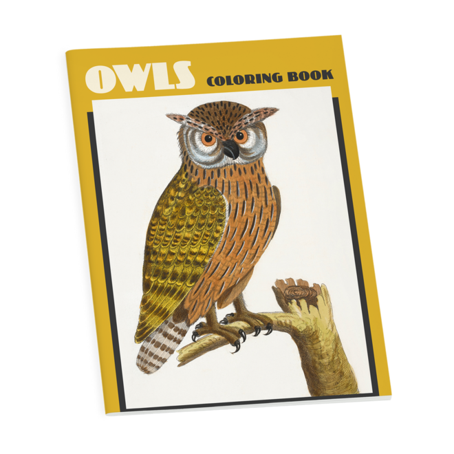 Owls Coloring Book
