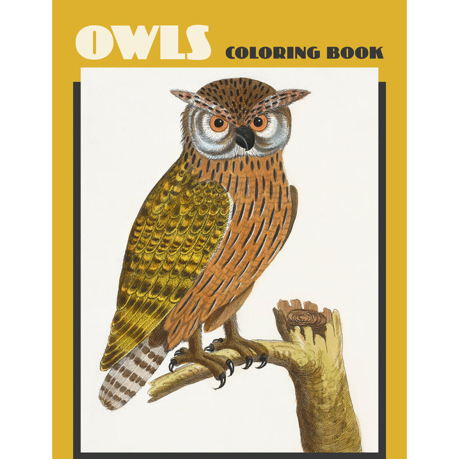 Owls Coloring Book