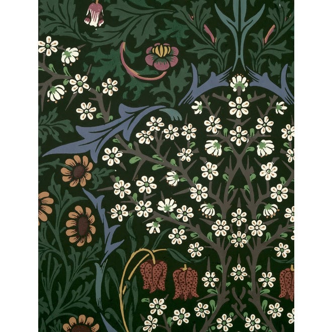 William Morris Keepsake Boxed Notecards