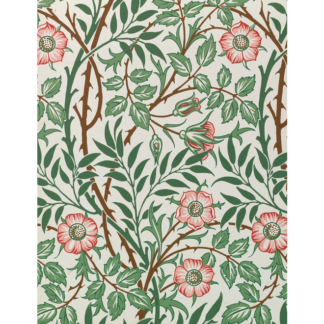 William Morris Keepsake Boxed Notecards