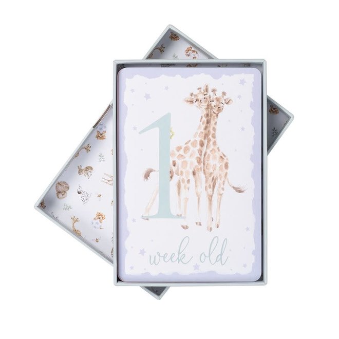 Baby Animal Milestone New Baby Boxed Cards