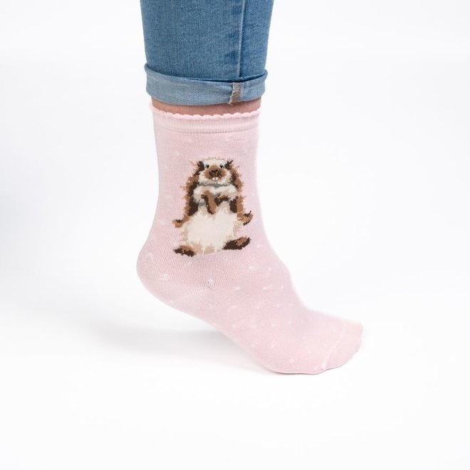 'Earisitible' Rabbit Socks