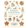 Ernest Haeckel: Art Forms in Nature Sticker Book