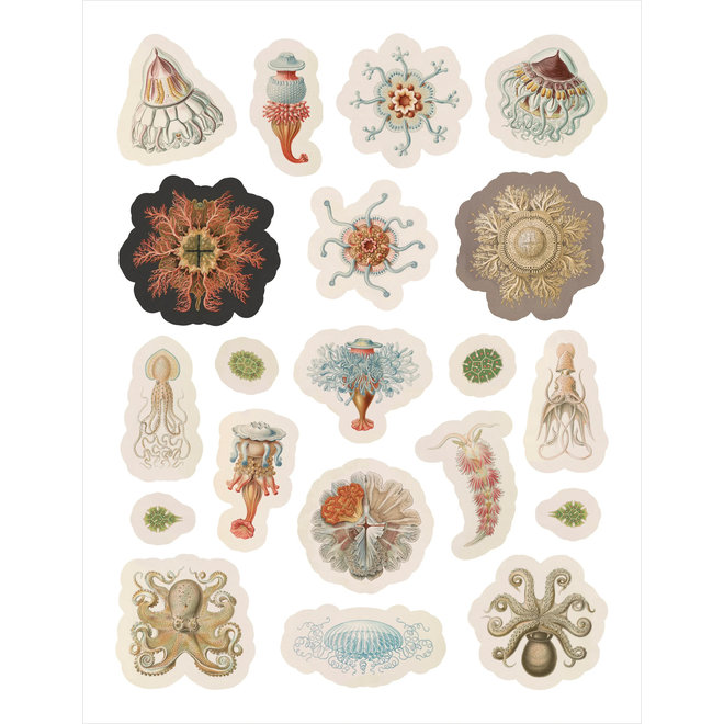 Ernest Haeckel: Art Forms in Nature Sticker Book