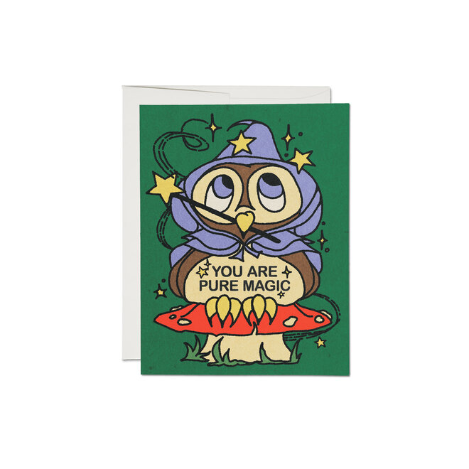 Owl Wizard Greeting Card