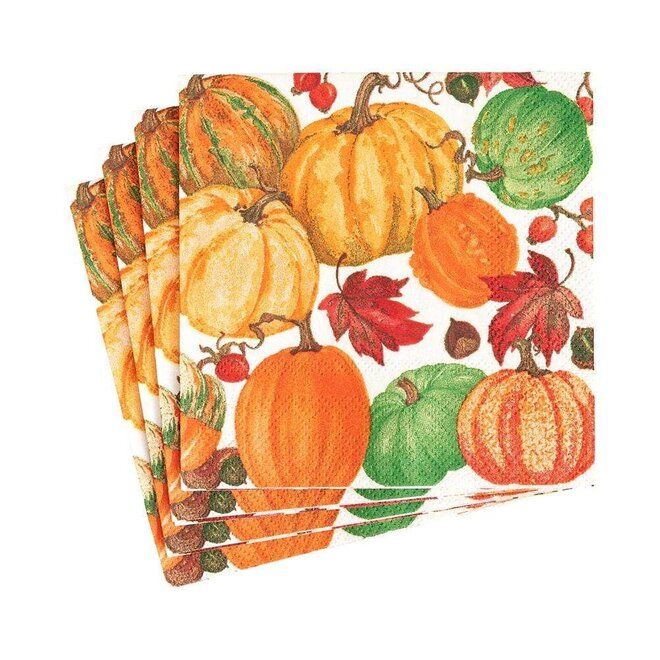 Pumpkin Field White Paper Cocktail Napkins