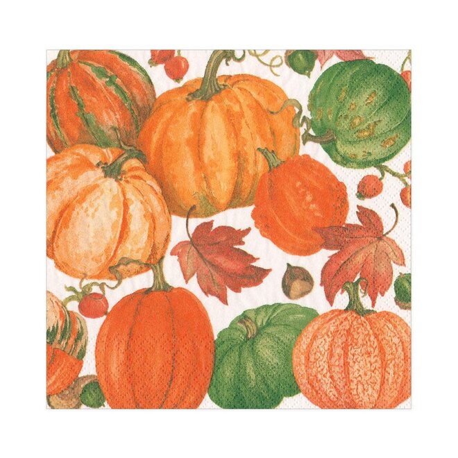 Pumpkin Field White Paper Luncheon Napkins