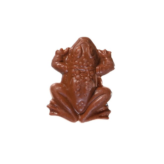 Jelly Belly Harry Potter Chocolate Frogs British Isles