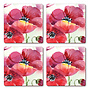 Fresh Poppies Coasters