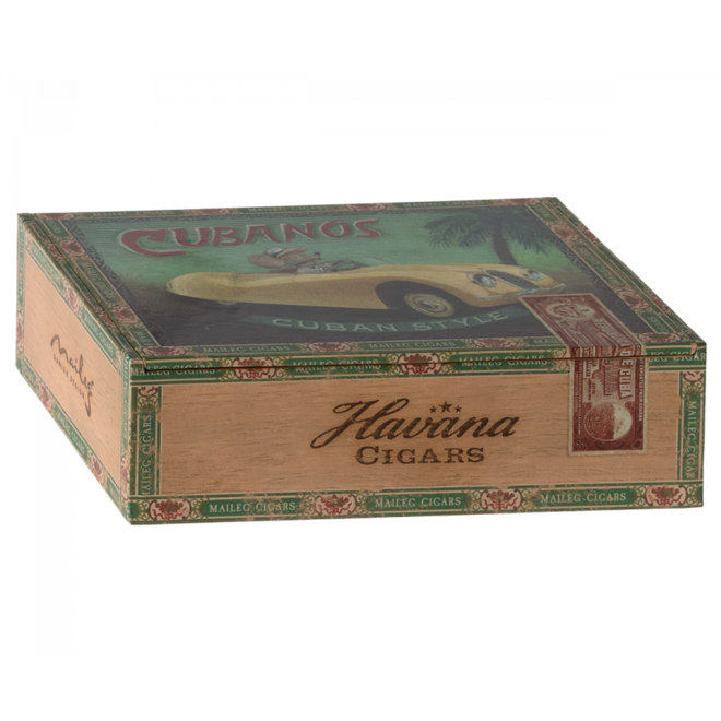 Grandma & Grandpa Mice in Cigarbox