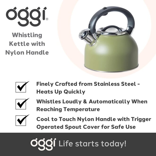 Whistling kettle cheap