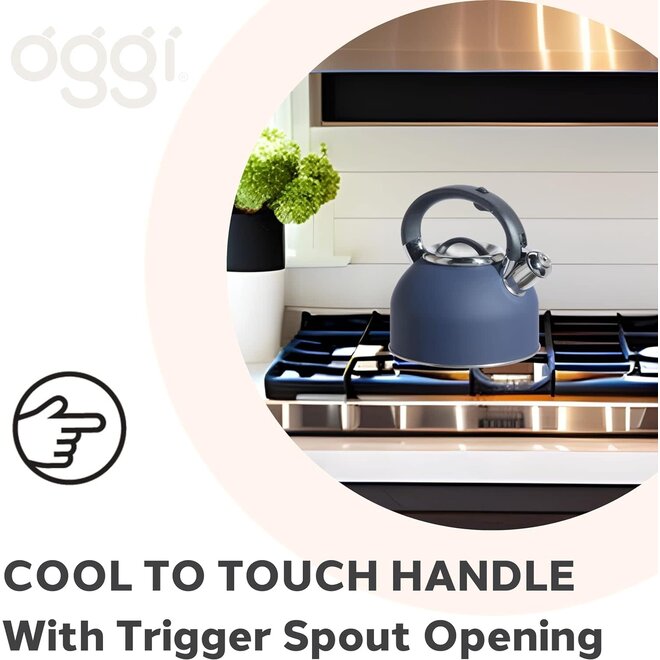 Oggi Stainless Steel Whistling Tea Kettle (Blue)